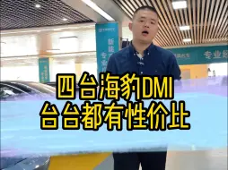 Download Video: 四台海豹DMi，这才是性价比车型！