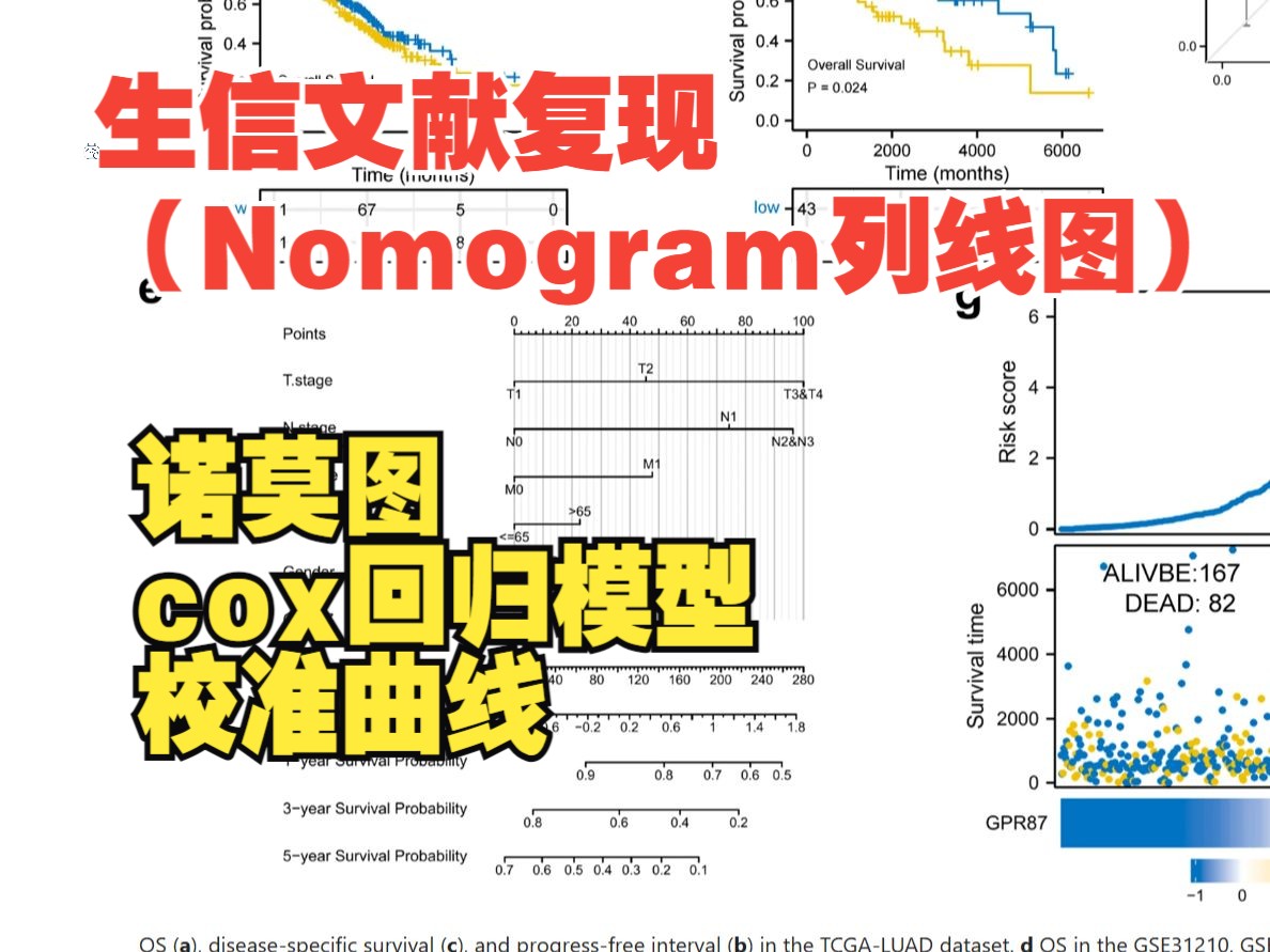 生信文献复现|Nomogram诺莫图列线图临床预测模型预测135年生存率&cox回归模型&校准曲线图哔哩哔哩bilibili