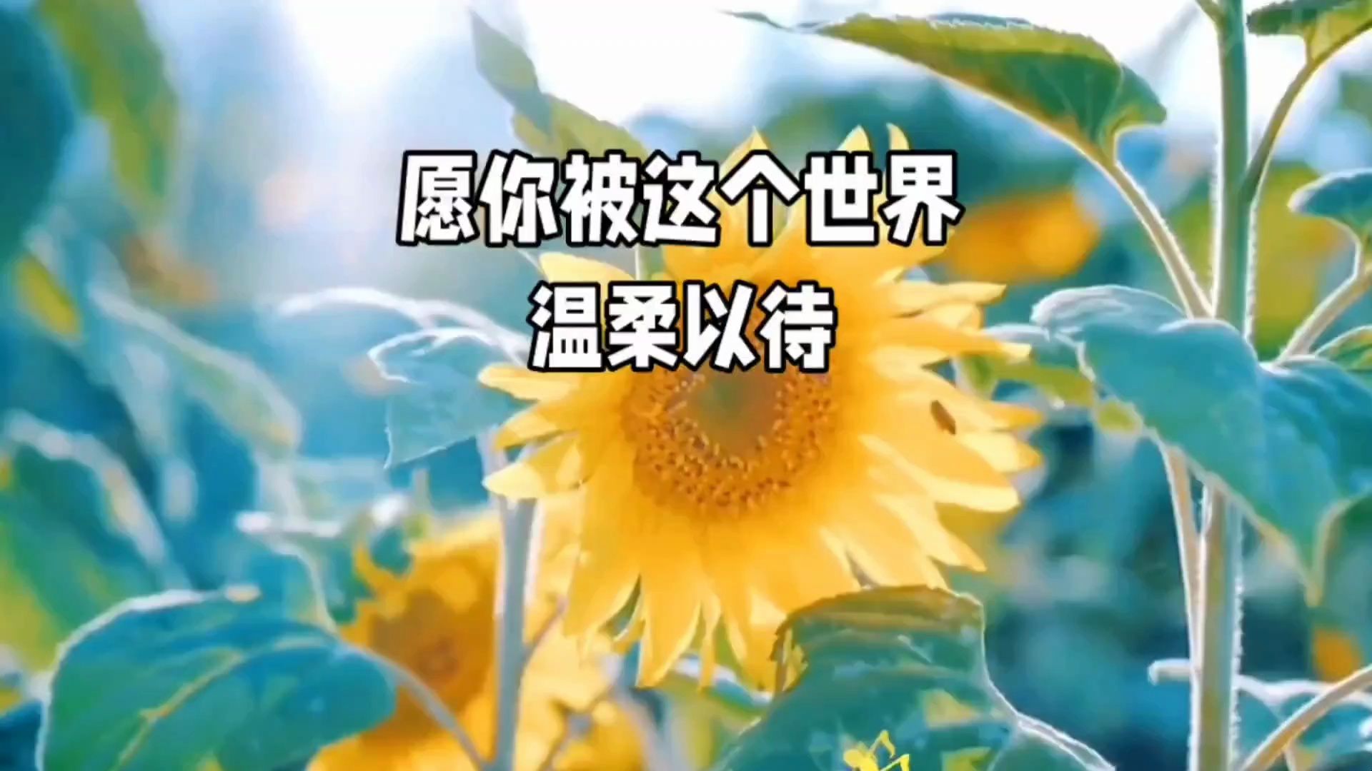 愿你被这个世界温柔以待-u春夏秋冬u-u春夏秋冬u-哔哩哔哩视频