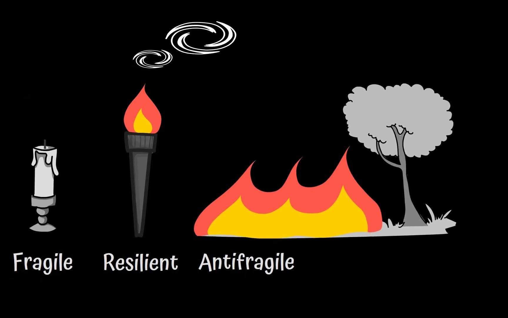 [图]ANTIFRAGILE by Nassim Taleb ｜ Core Message (oAJy45NWjmY)