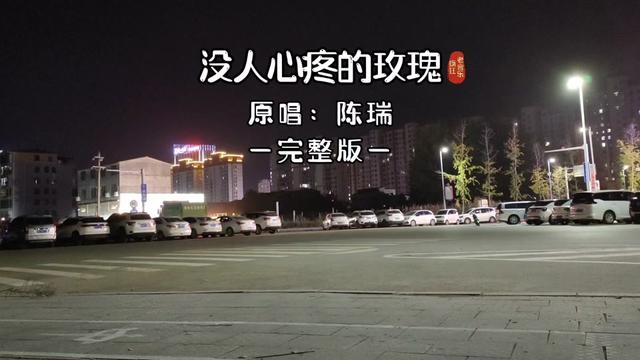 2016年流行歌曲,第1集,《没人心疼的玫瑰》陈瑞.
