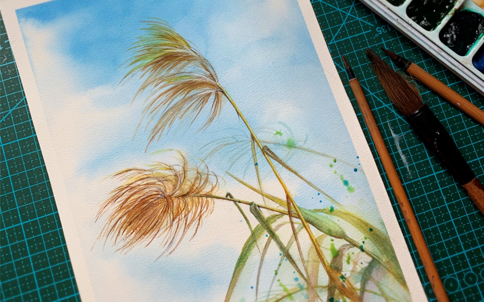 风中的芦苇|水彩过程