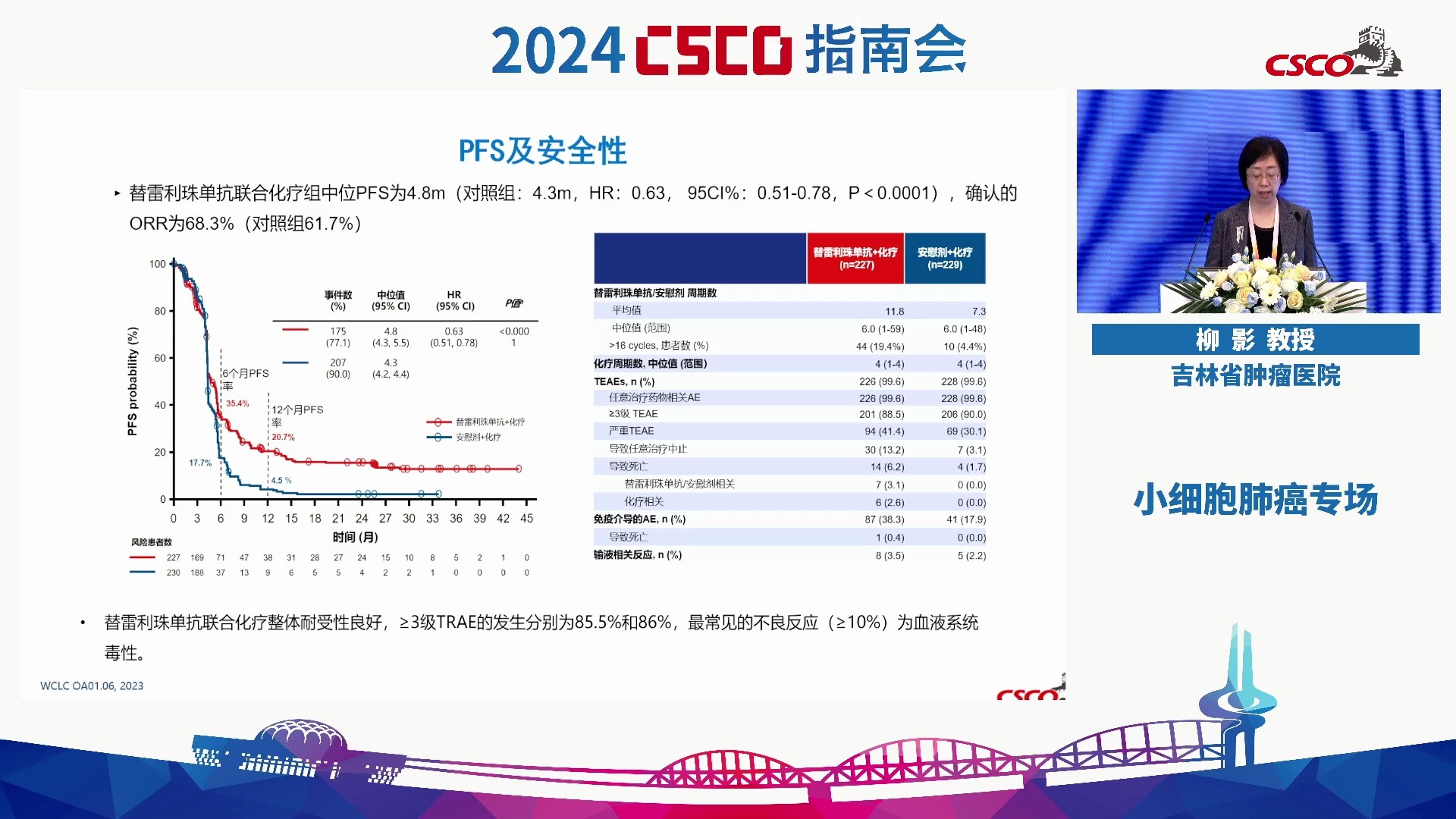 2024CSCO 小细胞肺癌诊疗指南—内科部分哔哩哔哩bilibili