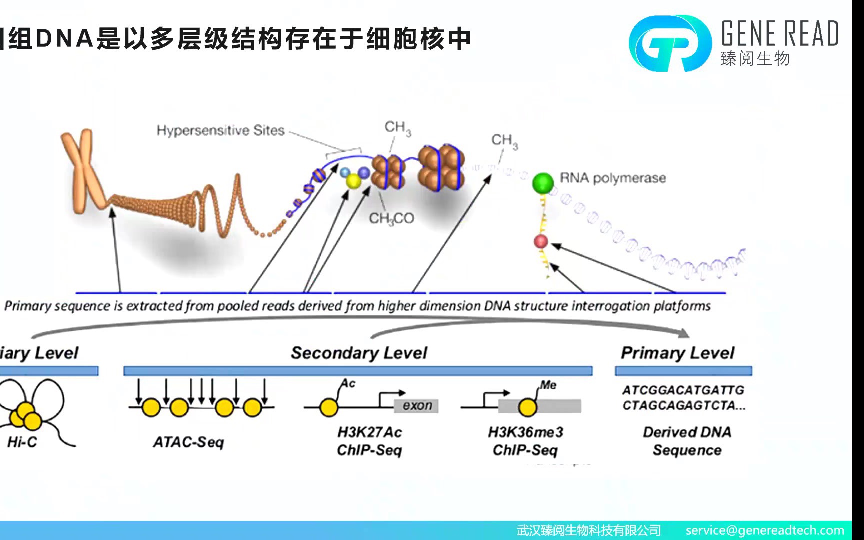 HiC技术与表观多组学技术介绍及在疾病中的应用第一期哔哩哔哩bilibili