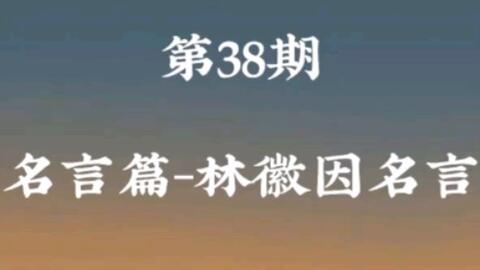 林徽因名言 哔哩哔哩
