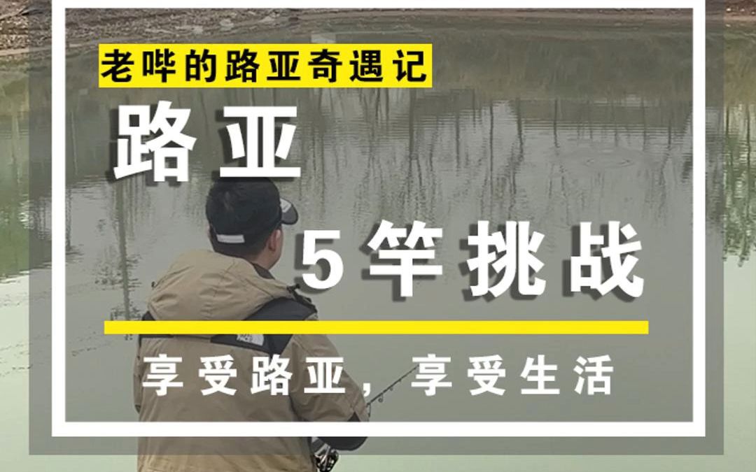 钓鱼生涯惨遭滑铁卢..如果上天再给我一次机会我一定盘哭老板哔哩哔哩bilibili