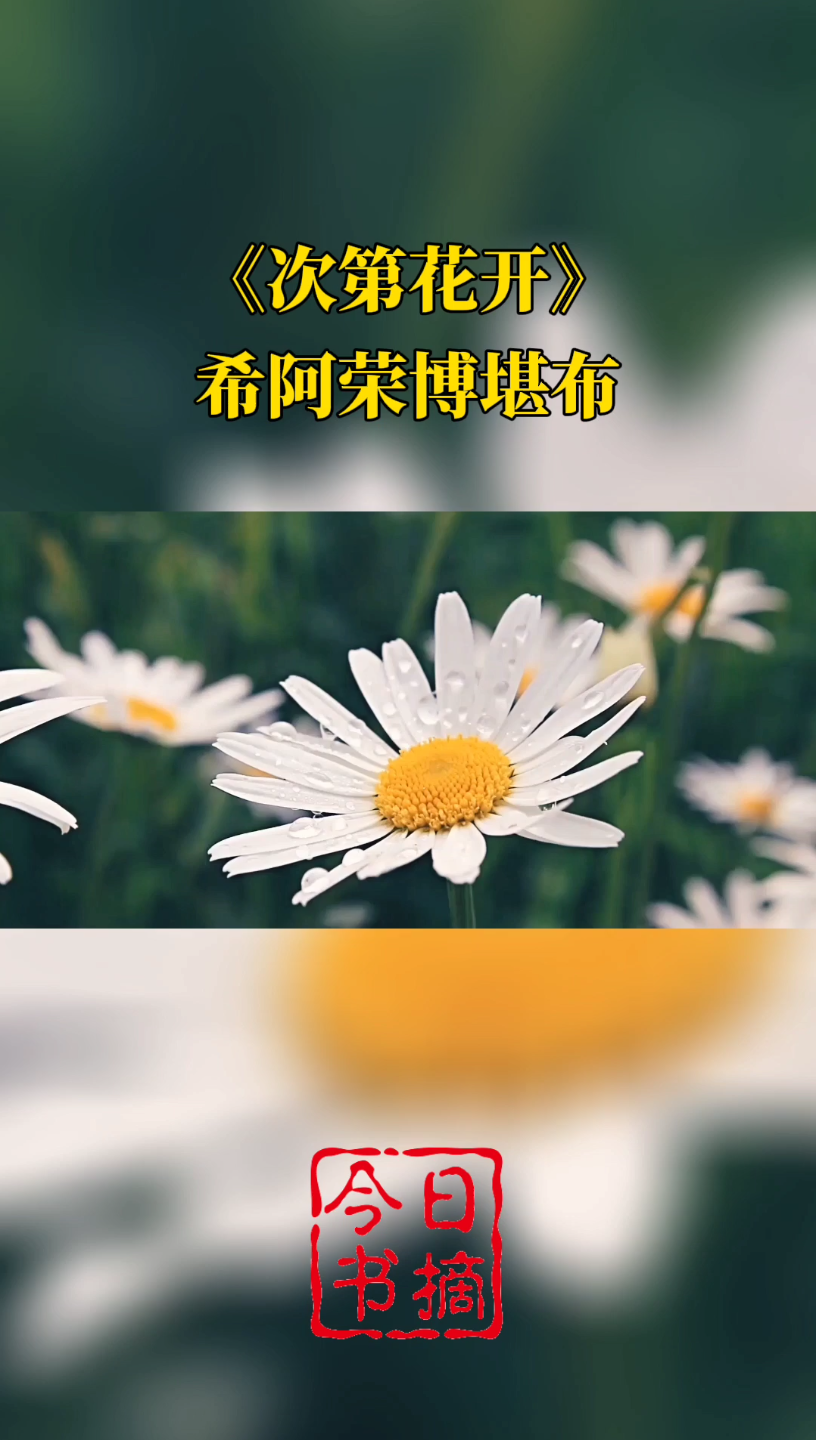 【书摘】希阿荣博堪布《次第花开》:人生就是一场长跑,输赢得失都是暂时的,从容淡定、张弛有度,才是人生大智慧哔哩哔哩bilibili