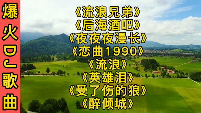 [图]八首爆火DJ歌曲《流浪兄弟》《后海酒吧》《夜夜夜漫长》