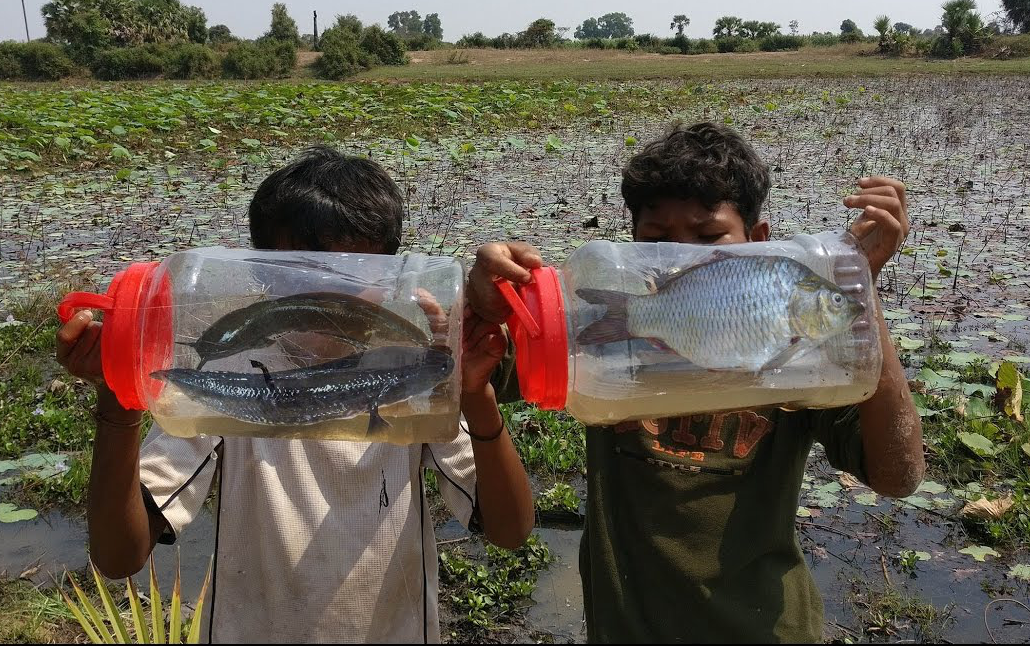 放学后,柬埔寨娃子去水塘里捉鱼,收获不错