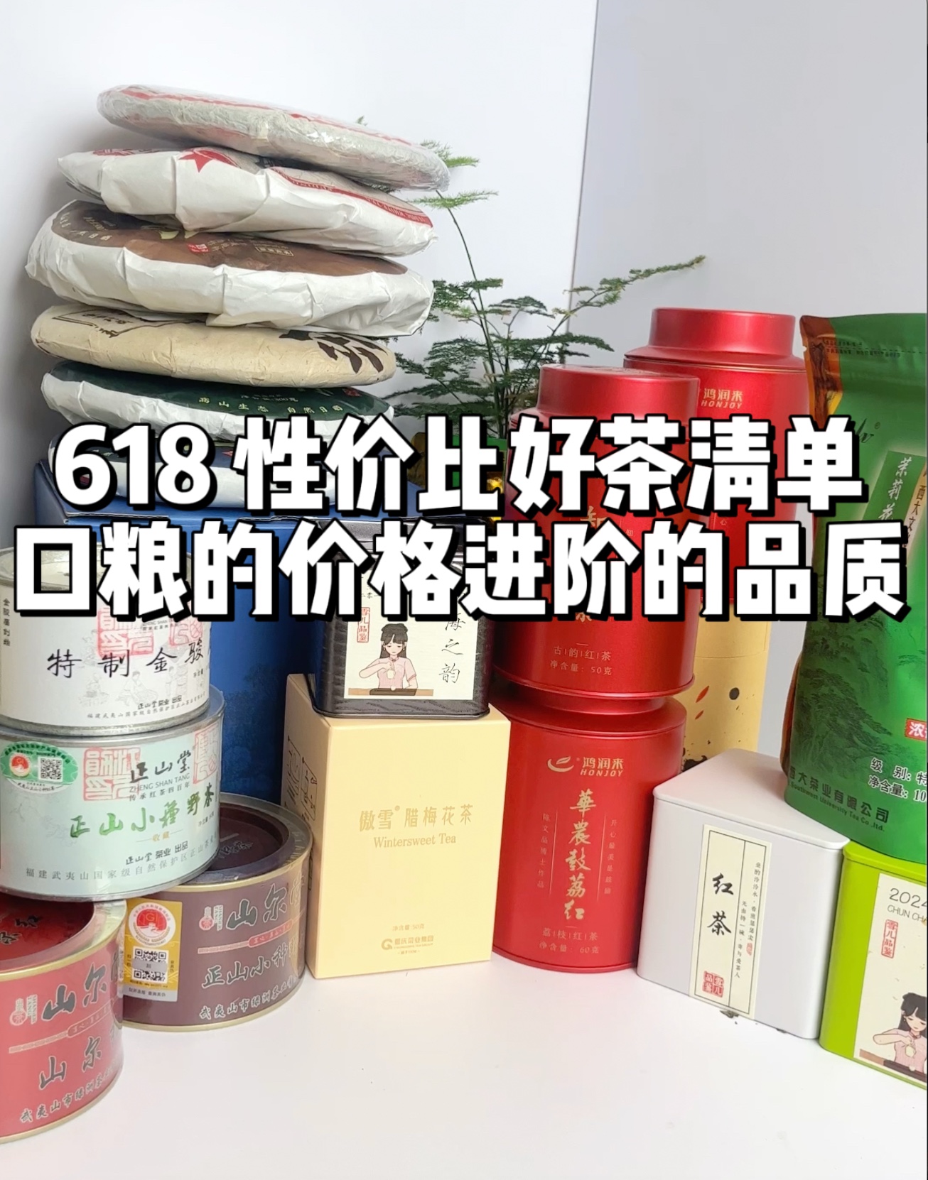 618性价比好茶清单~口粮的价格进阶的品质哔哩哔哩bilibili