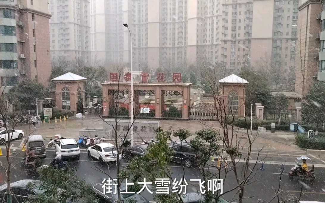 2022年郑州的第一场大雪纷飞,真是瑞雪兆丰年哈心情好极了哔哩哔哩bilibili