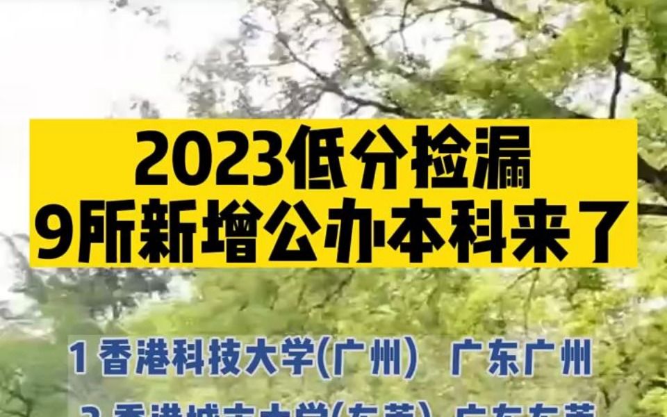 2023年高考低分捡漏9所新增公办本科来了哔哩哔哩bilibili