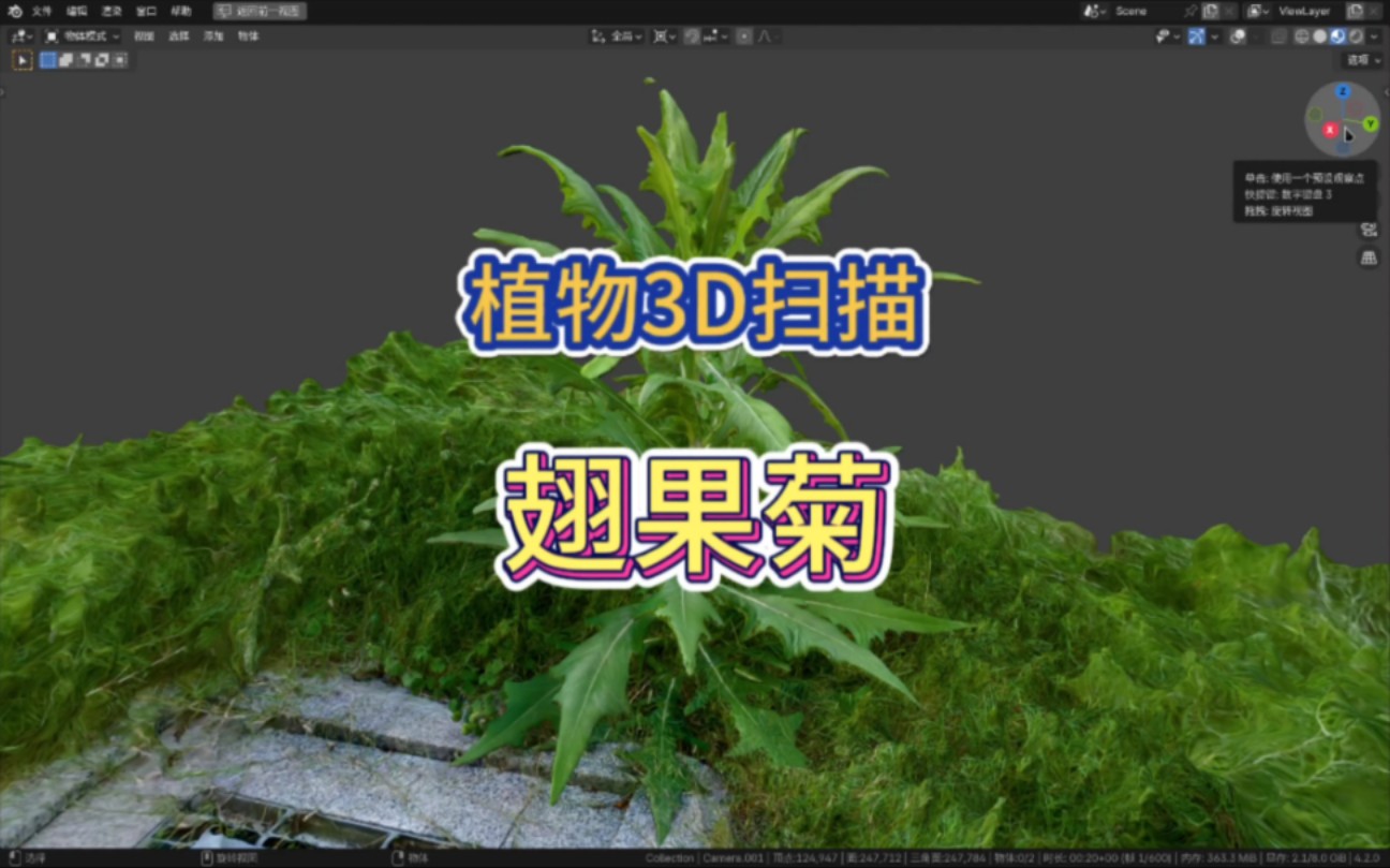 斑斓ⷦ•𐥭—植物标本.植物3D扫描:翅果菊哔哩哔哩bilibili