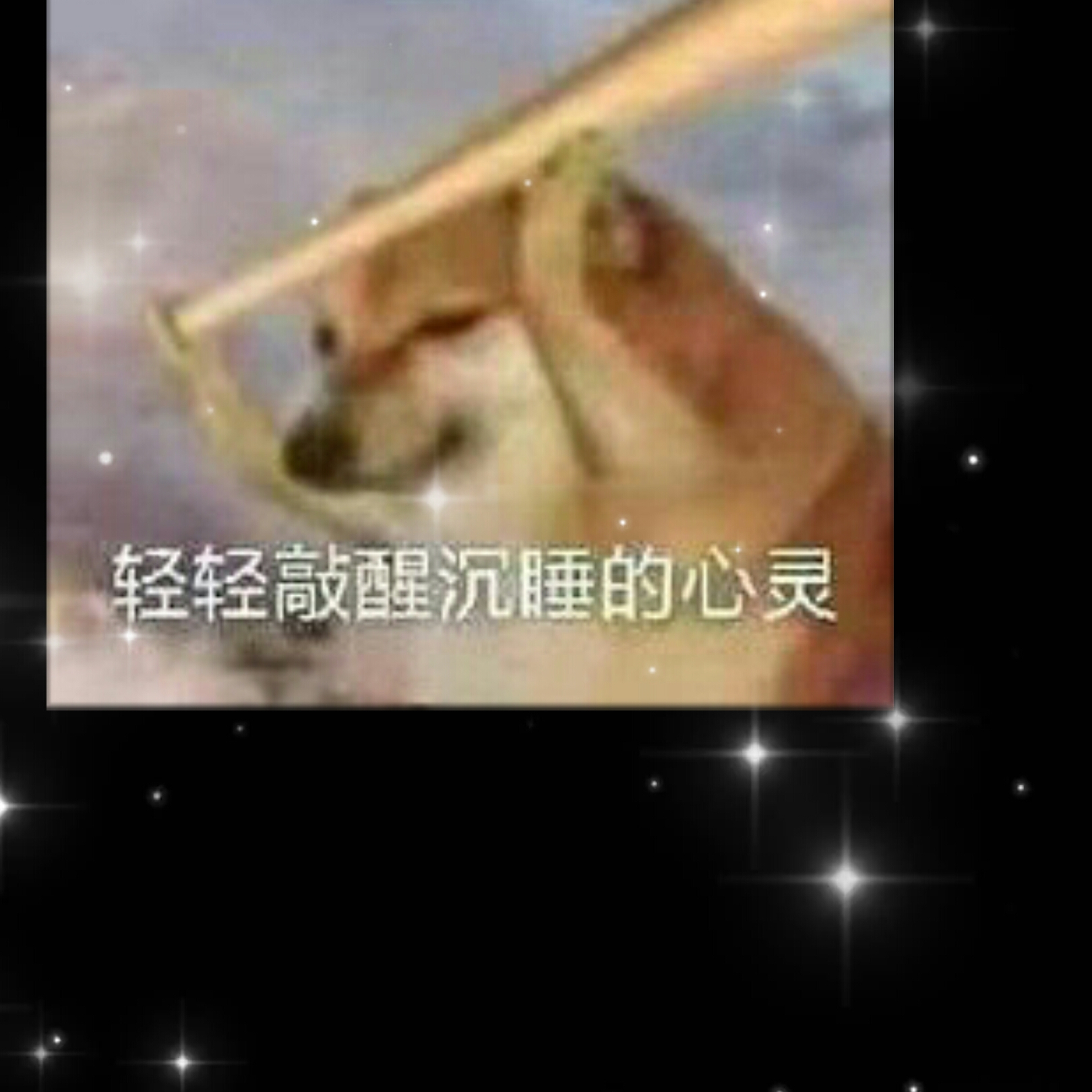 净化心灵表情包图片