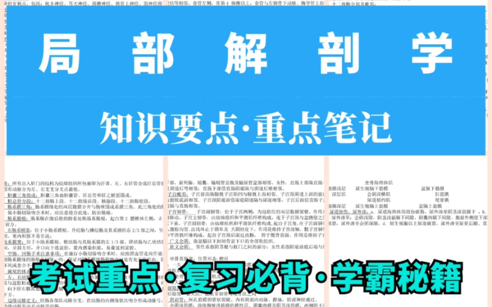 [图]局部解剖学知识点总结，笔记图片，复习重难点，学霸笔记，期末考试重点。