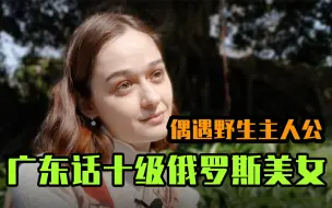 Download Video: 偶遇野生主人公，美女主持人在《我住》里拍《我住》【我住在这里的理由 329】