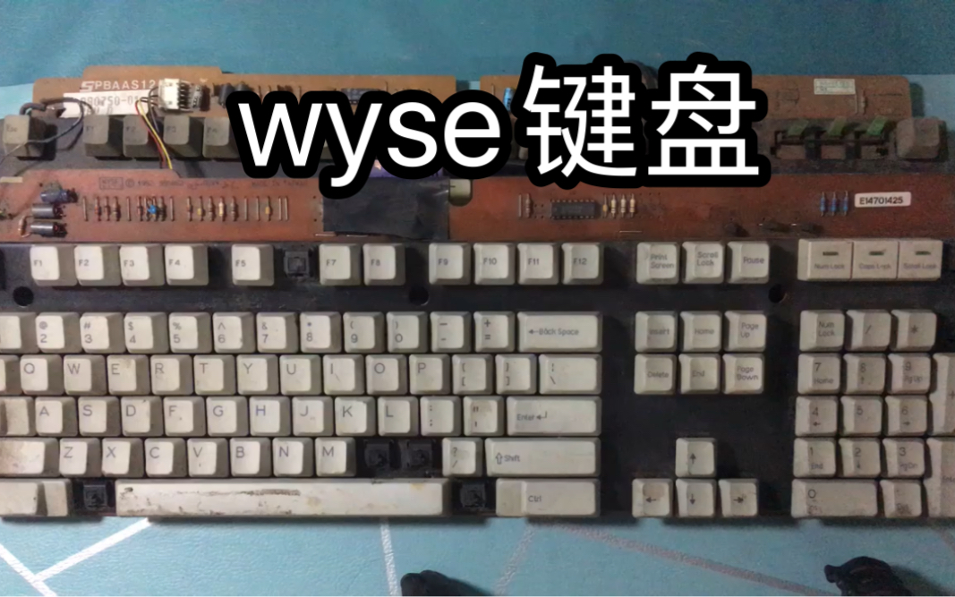 台湾省产wyse键盘介绍 樱桃黑轴老键盘 1988-1994