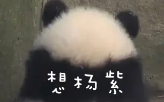 秉笔直书 搜索结果 哔哩哔哩 Bilibili
