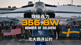 对300万人没有概念？让蓝星的军事力量告诉你答案