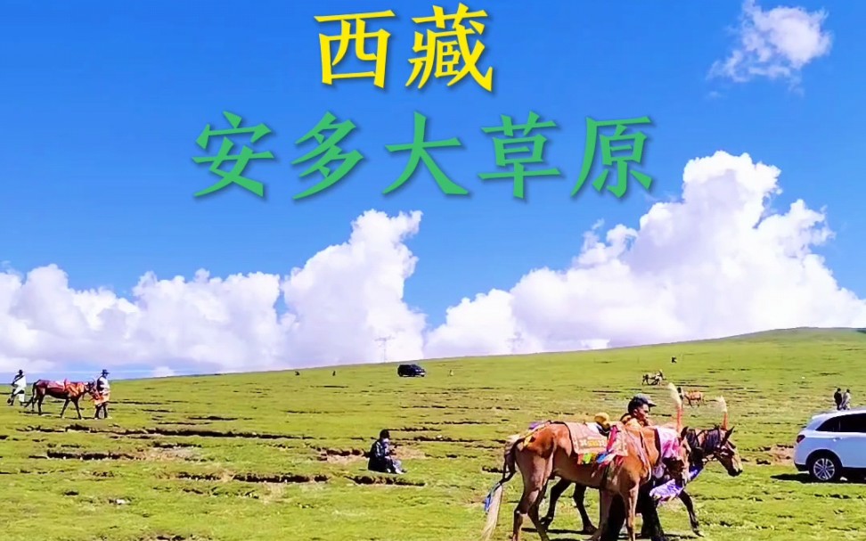 西藏安多县大草原欣赏