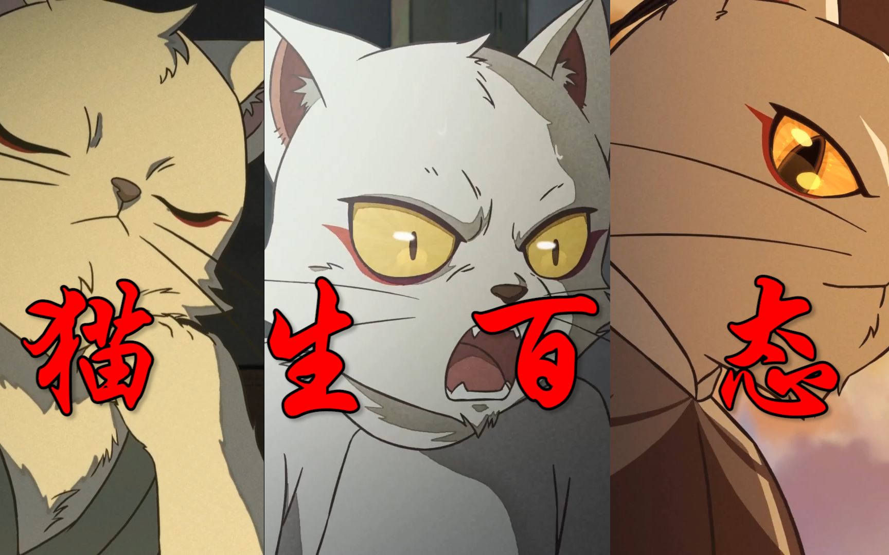 大理寺日志猫爷的正确打开方式