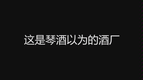 琴酒:如果郎姆也是卧底,我就领工资辞职了!哔哩哔哩bilibili