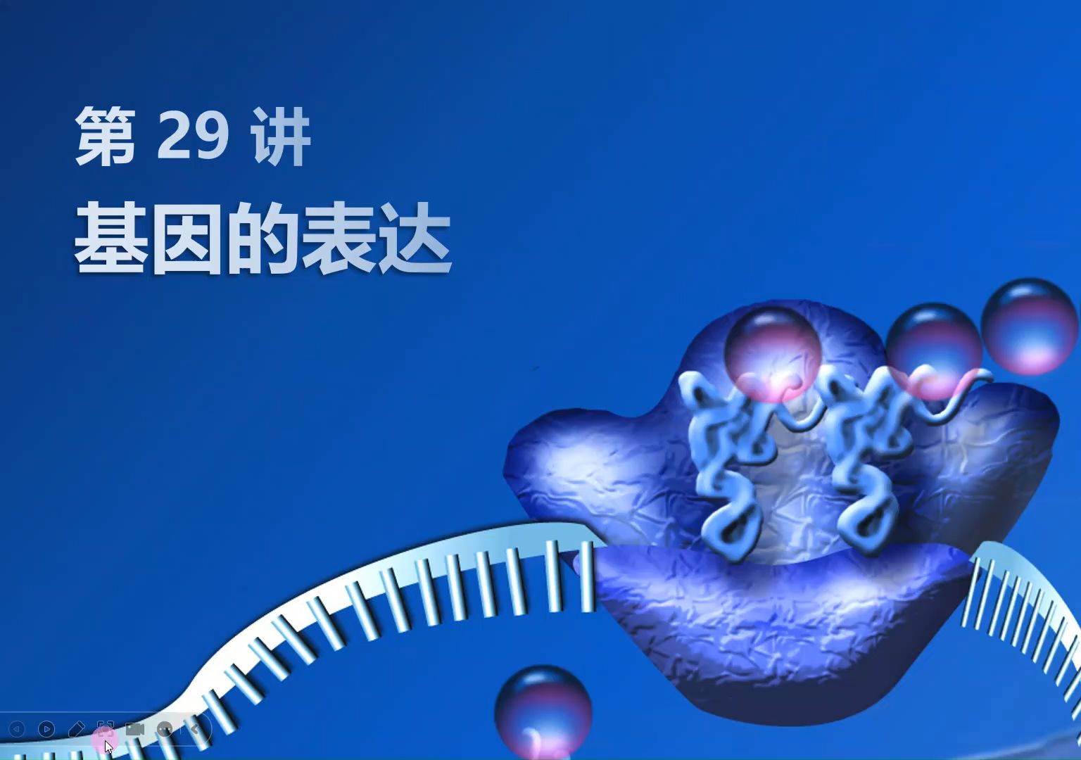 【2025高中生物一轮复习】29讲1基因的表达 转录 新高考创新设计全国通用新教材新课标网课必修一必修二选择性必修123哔哩哔哩bilibili