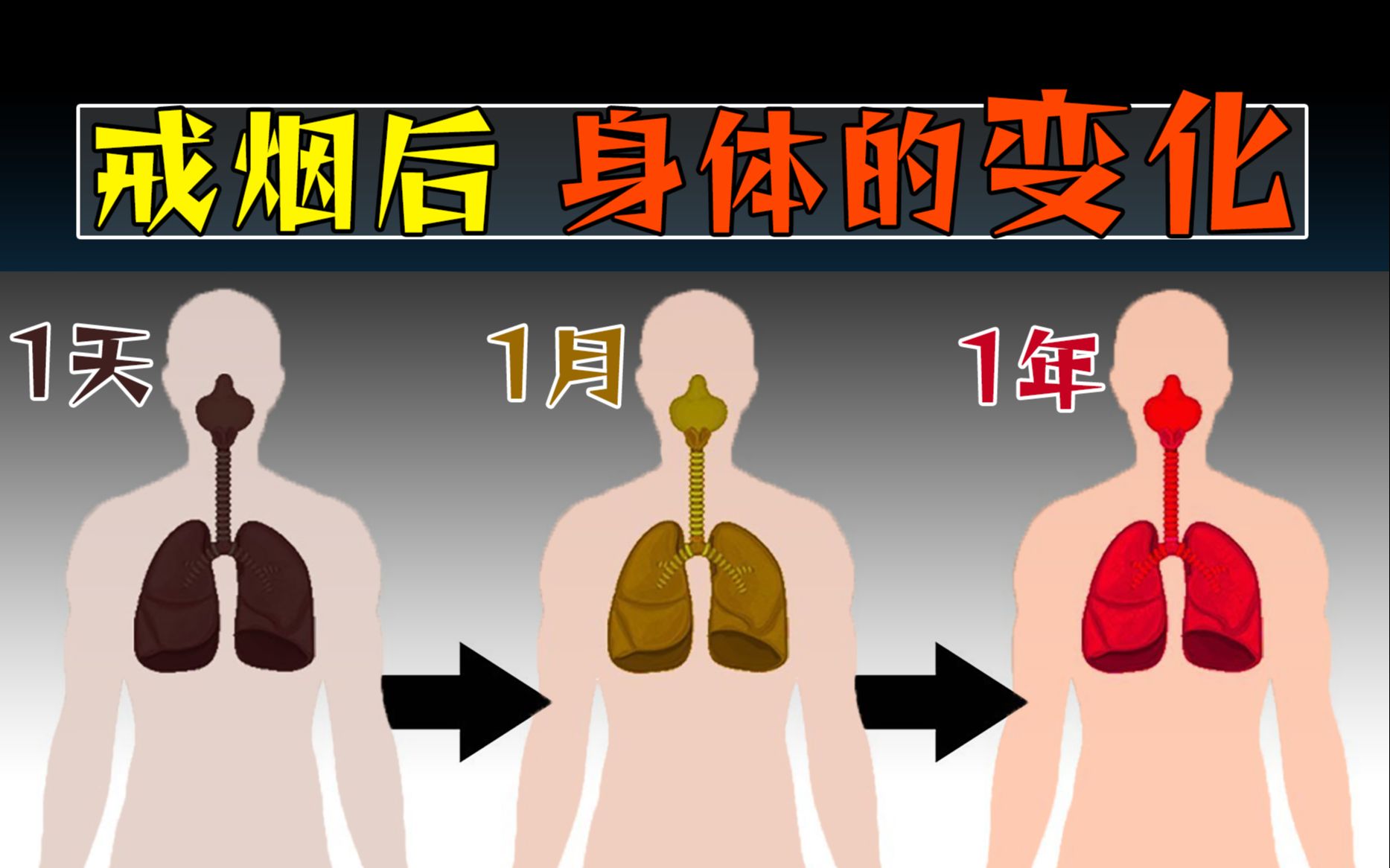 [图]戒烟后，变黑的肺还能完全恢复正常吗？