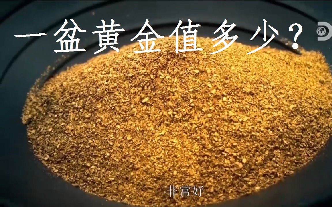 活动作品阿拉斯加金矿的赌注第10季第19集收金剪辑