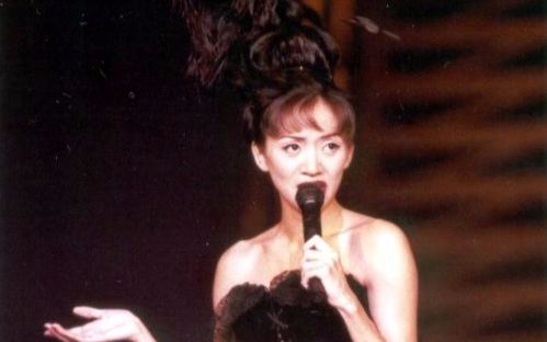 [图]Anita Mui/百变梅艳芳一个美丽的回响1995演唱会【下】