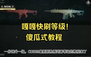 Download Video: 【COD20】速刷武器枪械等级，一分钟一级！傻瓜式教程~