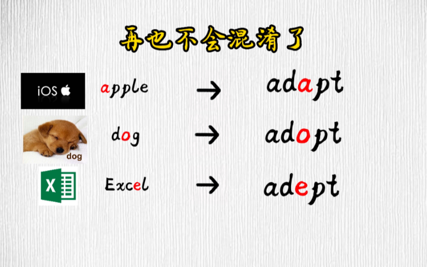 这样记单词太容易了,再也不会混淆了.adapt adopt adept哔哩哔哩bilibili