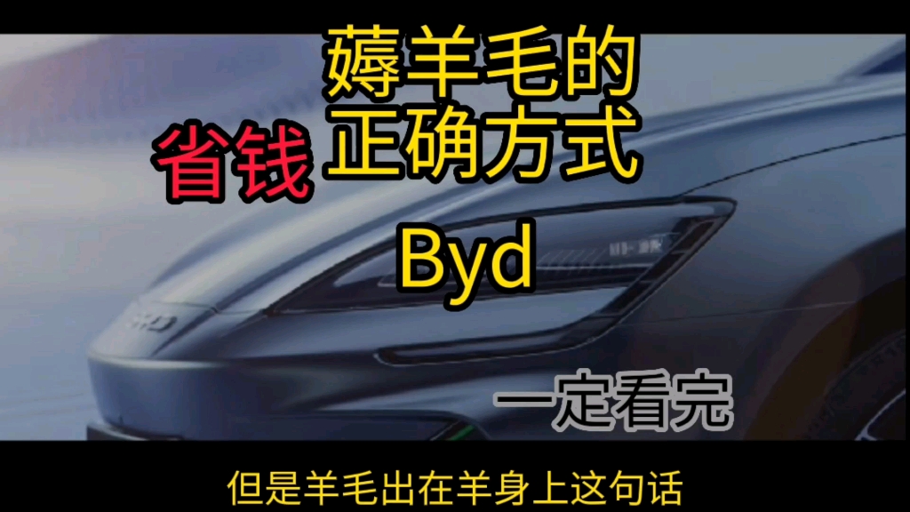 薅羊毛,比亚迪海豹火的一塌糊涂,购置税减免政策正确打开方式,一定关注一下,明天深入挖掘.一定要看到最后哔哩哔哩bilibili