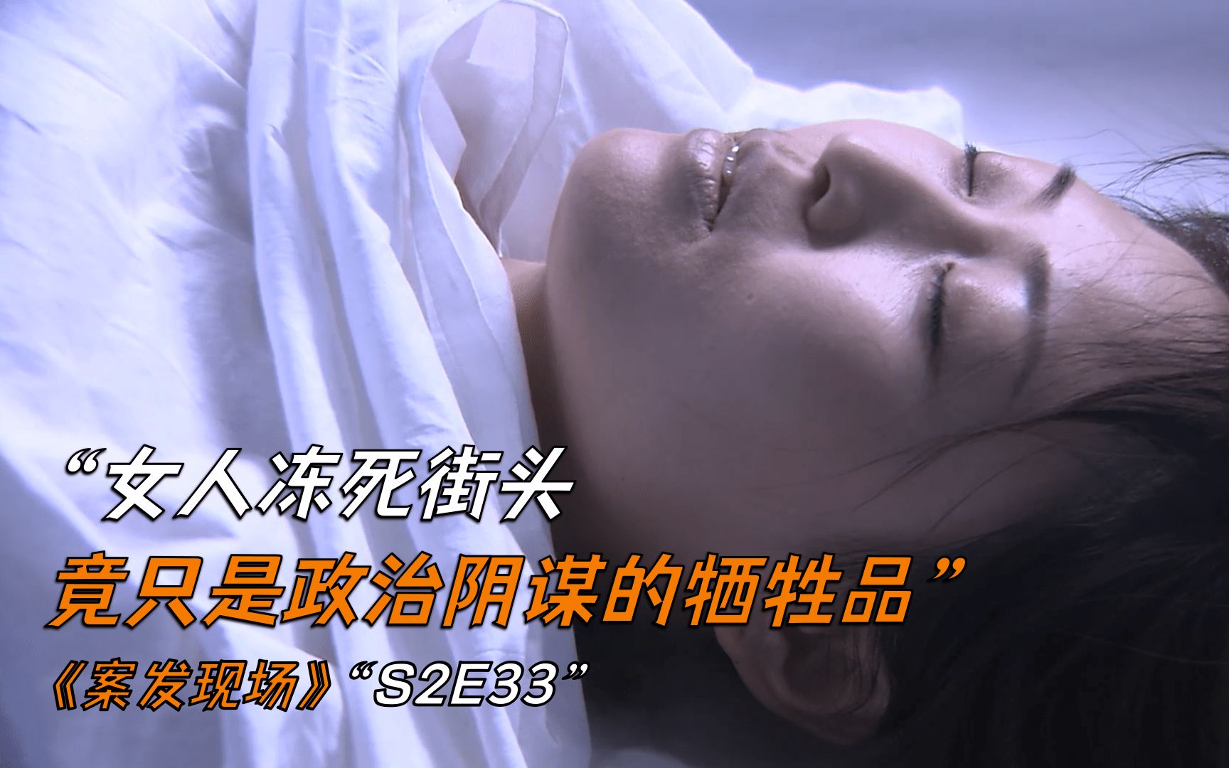 女人冻死街头,竟只是政治阴谋的牺牲品《案发现场》