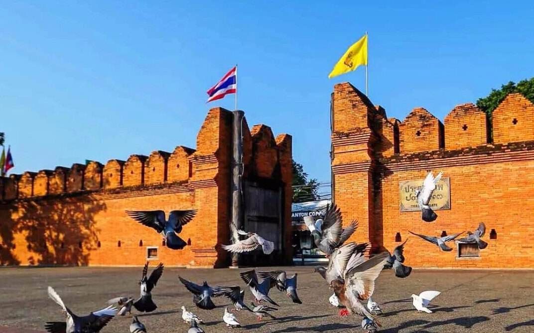 东南亚旅游实拍: 清迈塔佩门,广场逗鸽子