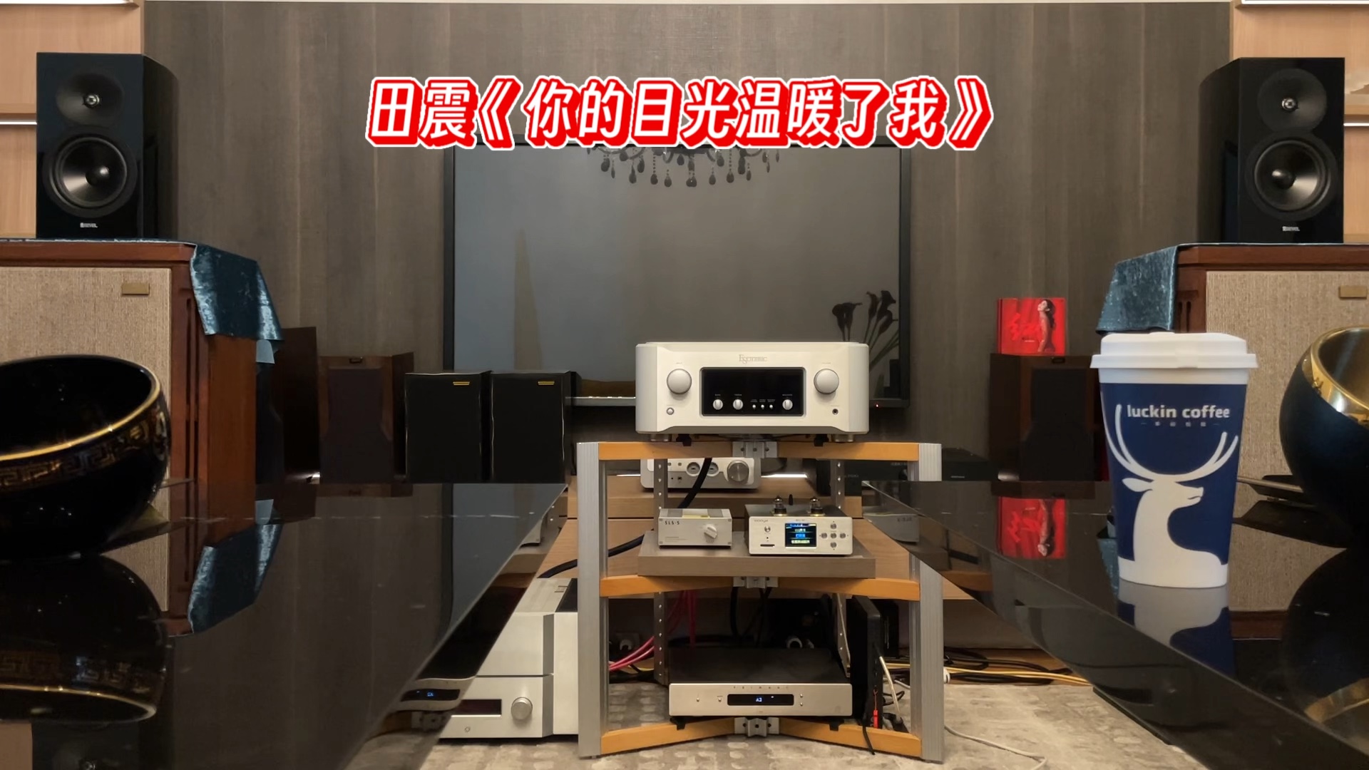 锐威M16云视听之田震《你的目光温暖了我》