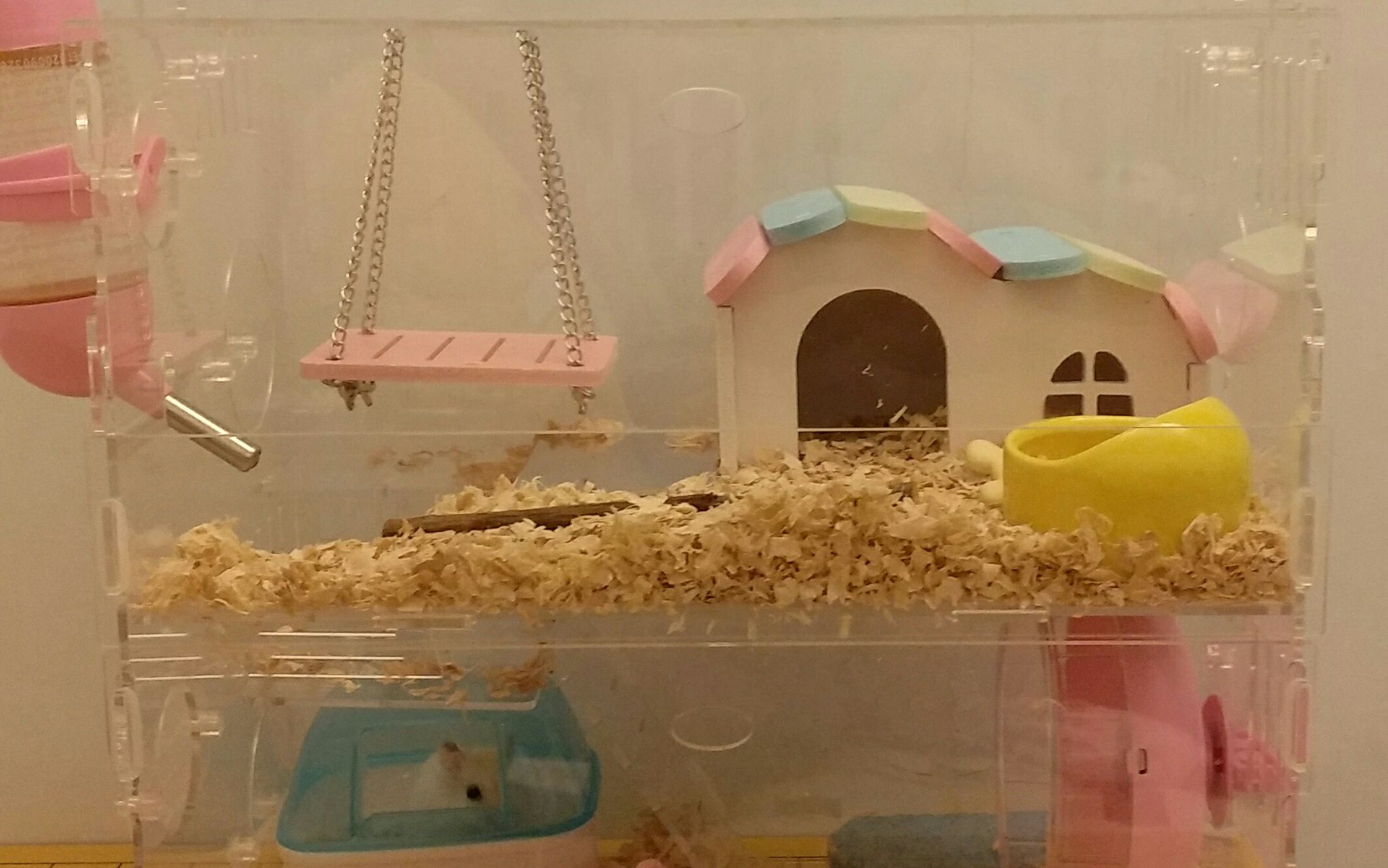 【仓鼠】换到新家后的反应[diy] 自制特大号仓鼠笼, 老公公/罗伯罗夫