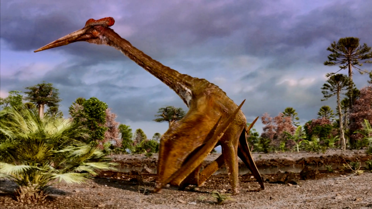 风神翼龙是白垩纪时期飞行怪兽!站立与长颈鹿平视的它是何画风?