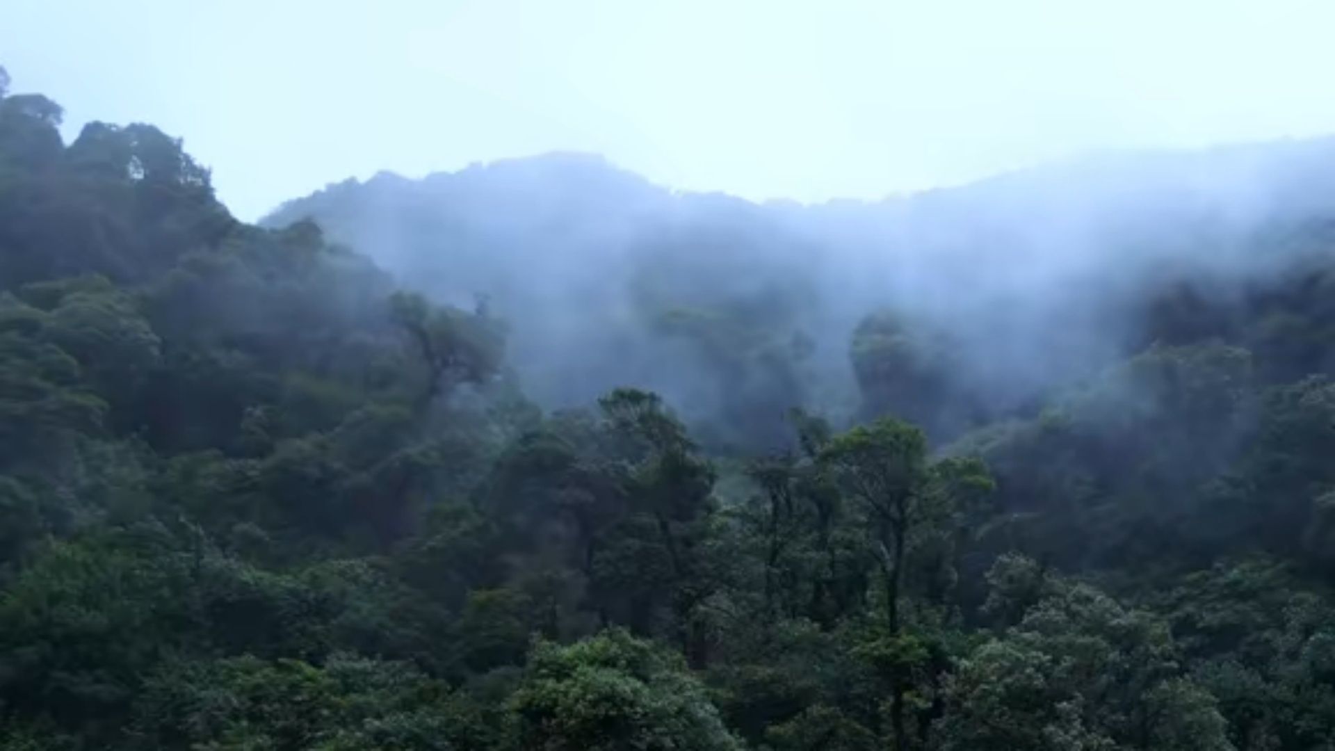 专家解读为何哀牢山是禁区:地理环境极为复杂,存在指南针失灵情况哔哩哔哩bilibili