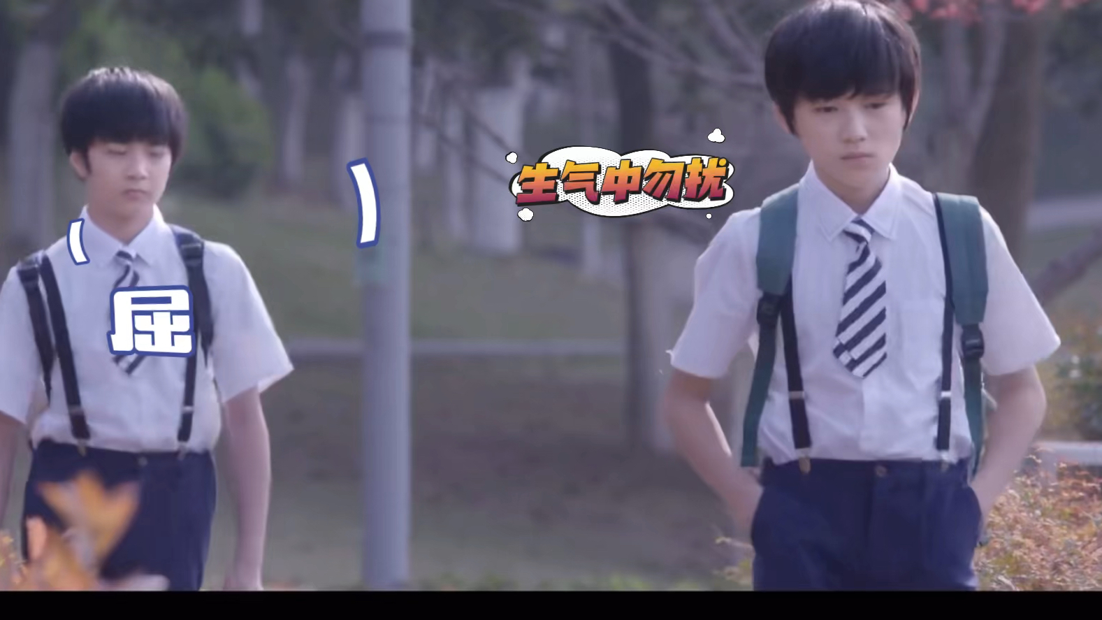 【文轩】两只小猪好可爱呀