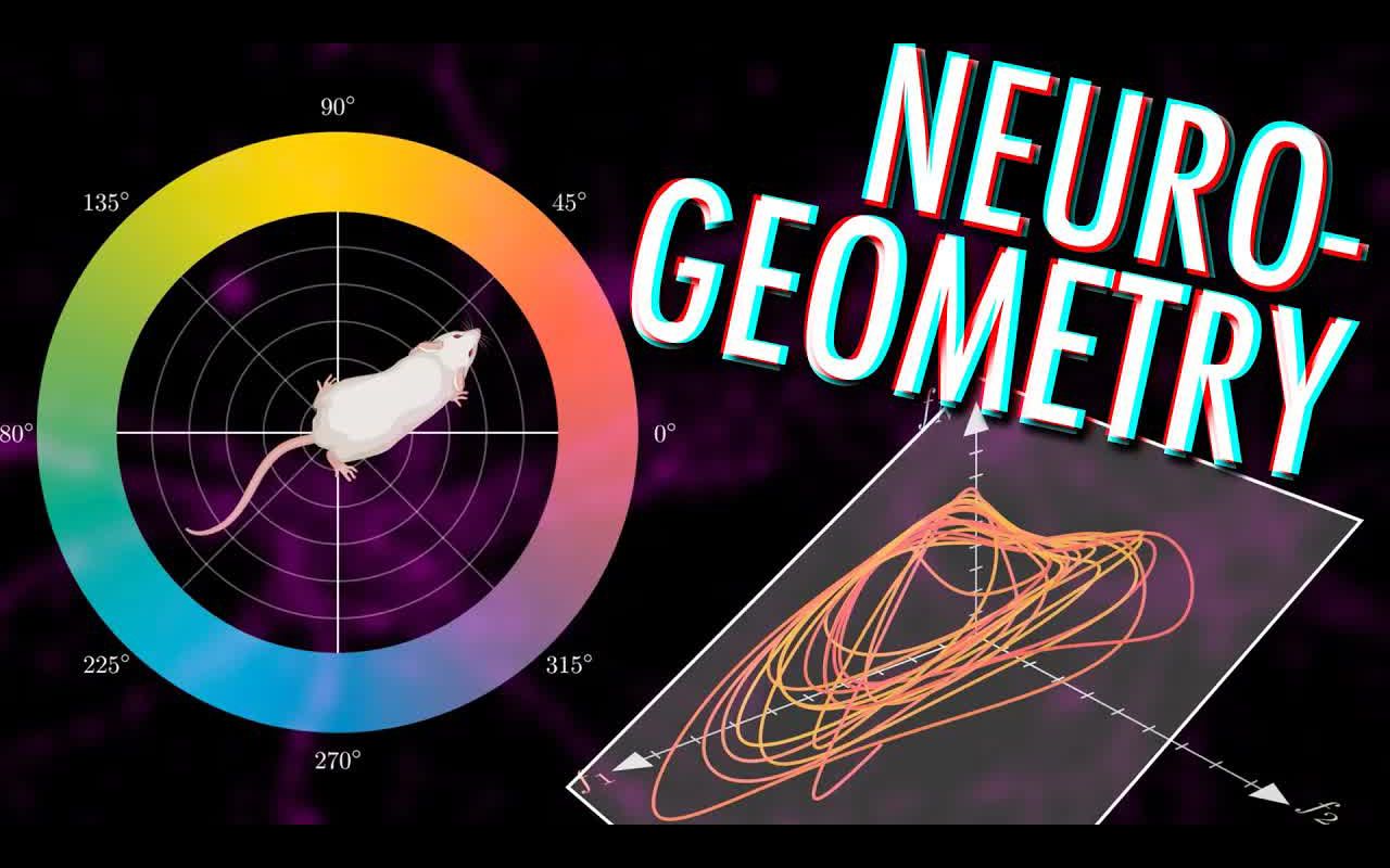 [图]【双语字幕】大脑中的拓扑学——神经流形