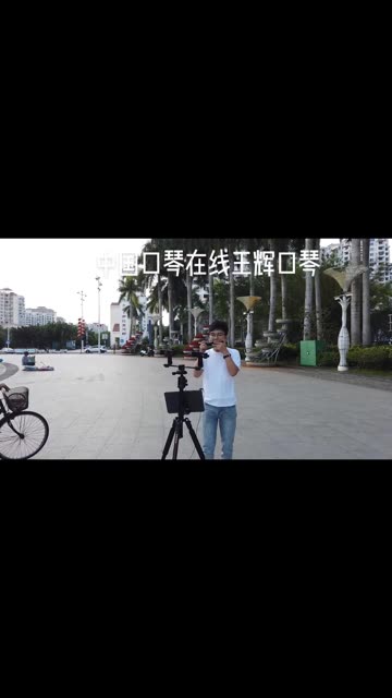 王辉口琴《画你》，国光复音口琴领跑者，F# 。户外演奏必备三件套。