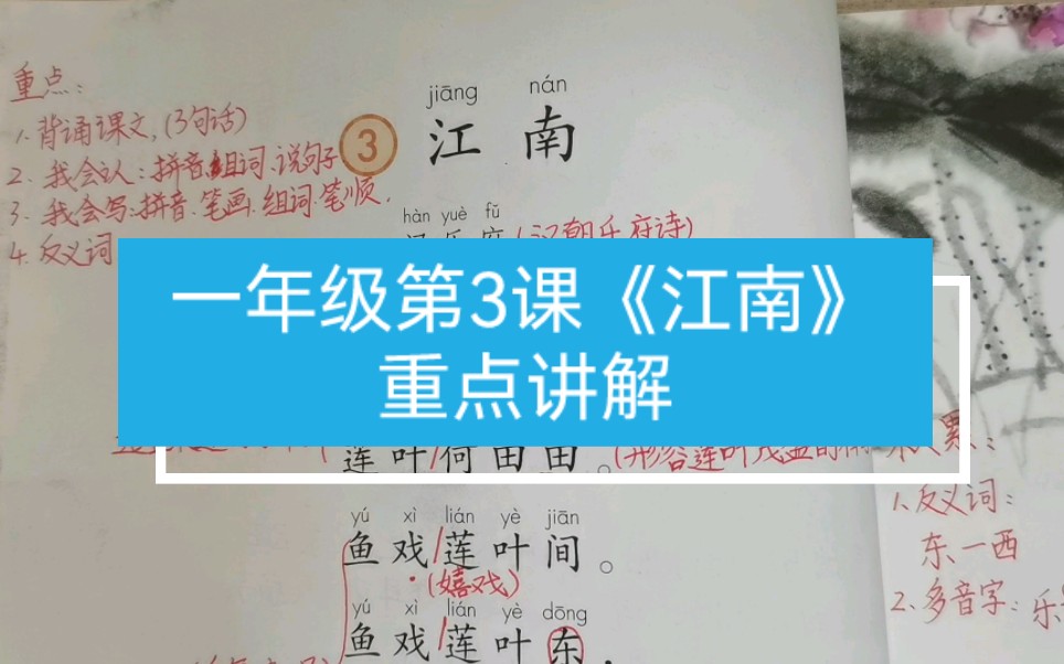 一年级第三课《江南》重点讲解,每天跟着学一学,家长辅导很轻松哔哩哔哩bilibili