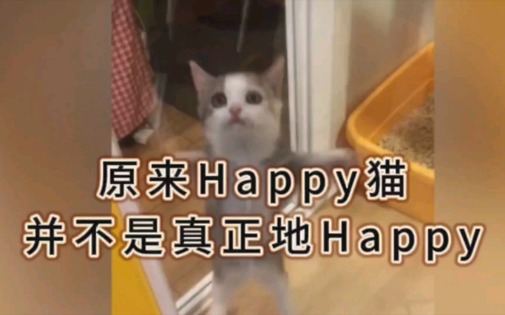 [图]原来Happy猫并不是真正地Happy