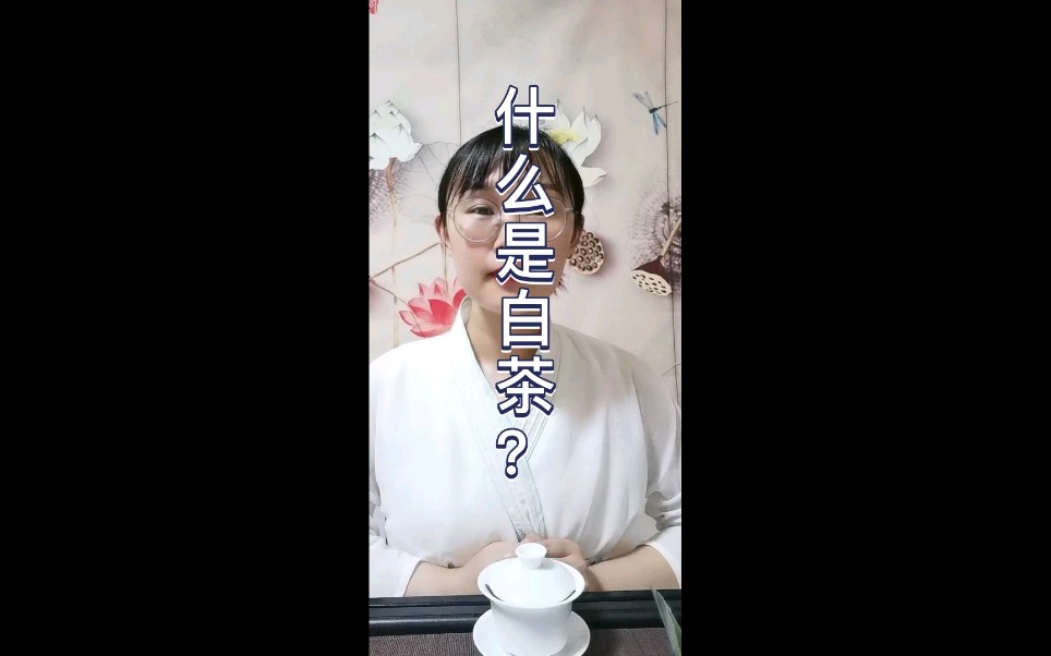 【福鼎白茶】认识一下什么是白茶?哔哩哔哩bilibili