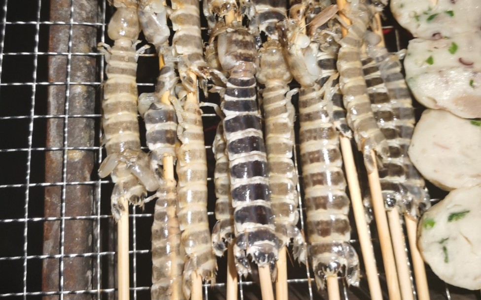 最快速度的抓斑马蜈蚣银环虾千万不要用手抓