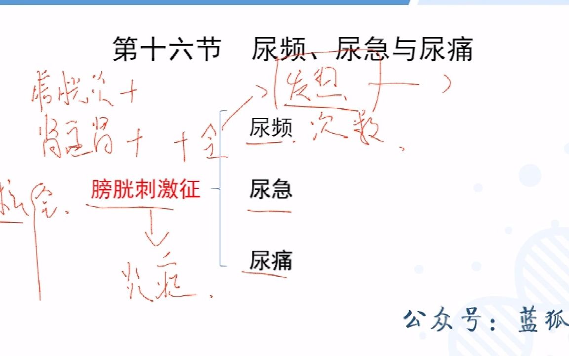 军队文职笔试专业课(护理岗)理论精讲诊断学3哔哩哔哩bilibili