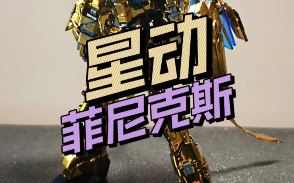 星动菲尼克斯他来了～