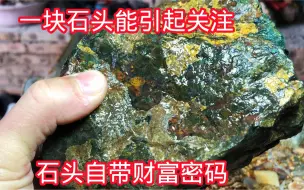 Download Video: 一块石头引发关注，看懂全是财富，光说没用切开你就服了