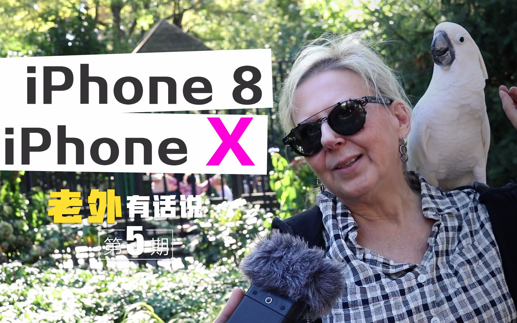 美国人知道哪些中国品牌手机?iPhone 8和iPhone X美国人选哪个?哔哩哔哩bilibili